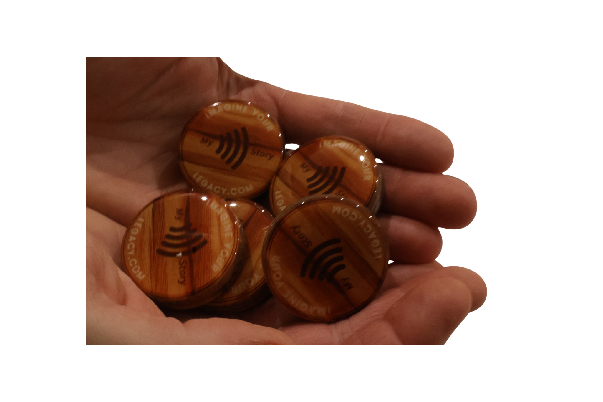 Feb 8th wooden group of modules